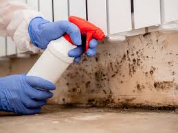 Best Comprehensive Air Testing for Mold Contaminants  in North Decatur, GA